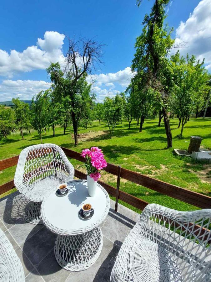 Vikendica Gaj Villa Gornji Milanovac Exterior photo